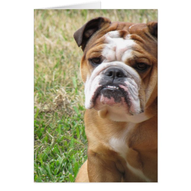 Cartão minha menina (Frente)