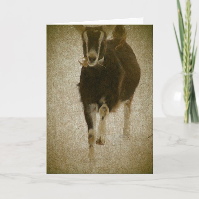 Cartão Minha Misha (Frente)