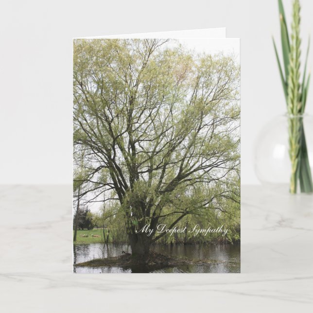 Cartão Minha simpatia mais profunda (Frente)