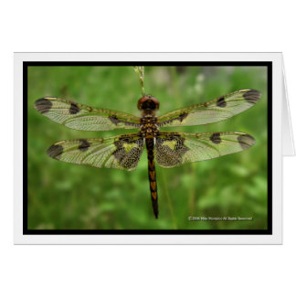 Cartão "Minhas Bonito Asas" - Dragonfly