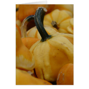 Cartão Mini abóboras