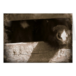 Cartão Mini nariz sobre a porta