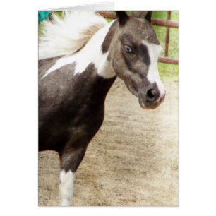 Cartão Mini Olhada Azul na Classe Liberdade