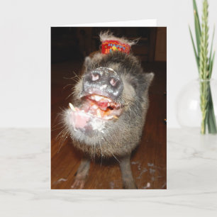 Cartão Mini Porco Feliz de Aniversário Personalizado
