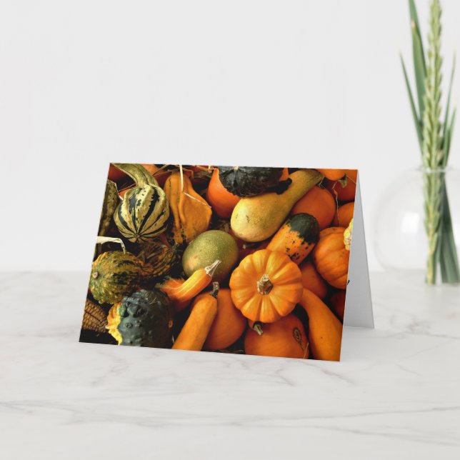 Cartão Mini Pumpkins E Gourds - Foto 2 (Frente)