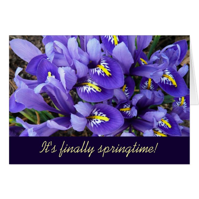 Cartão Miniatura Azul Levanta Primavera Floral (Frente Horizontal)