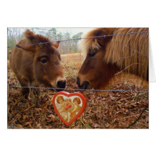 Cartão Miniatura Macaco e Coração de Namorados de Cavalo