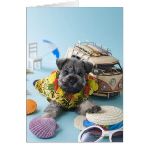 Cartão Miniatura Schnauzer Puppy e férias de verão