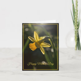 Cartão Miniature Daffodil Mother's Day