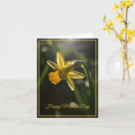 Cartão Miniature Daffodil Mother's Day