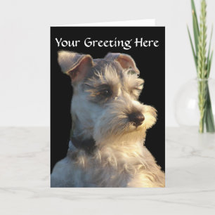 Cartão Miniature Schnauzer Card