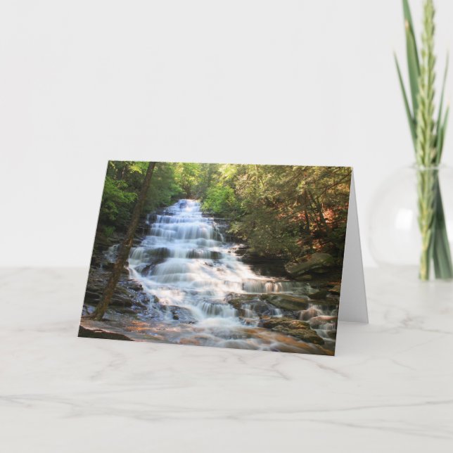 Cartão Minnehaha (Frente)