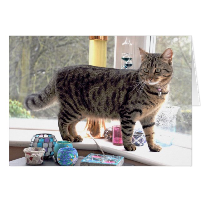 Cartão Minnie (Frente Horizontal)