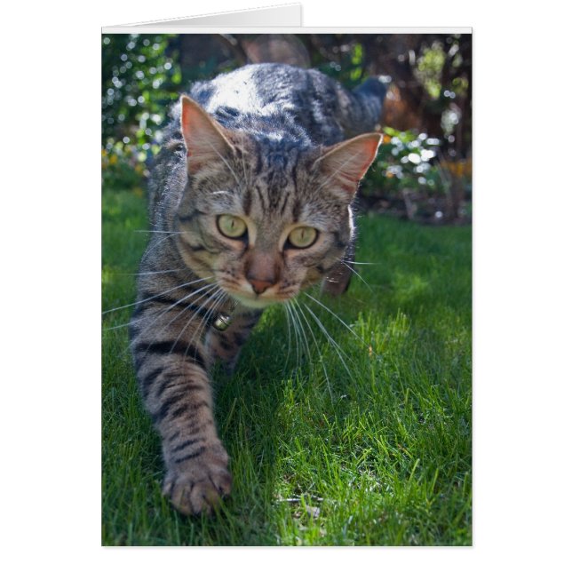 Cartão Minnie03 (Frente)