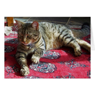 Cartão Minnie in Sunshine2