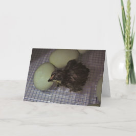 Cartão Minutos Antigo