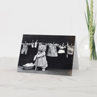 Cartão Miss Kitten Fazendo Lavagem