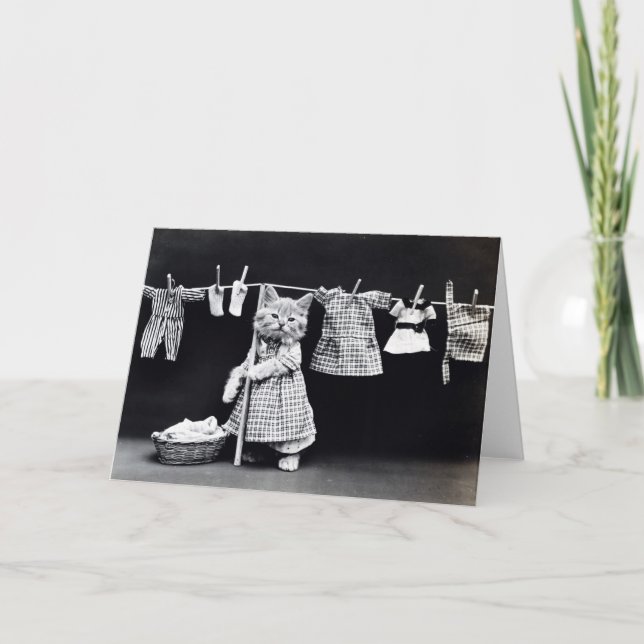 Cartão Miss Kitten Fazendo Lavagem (Frente)