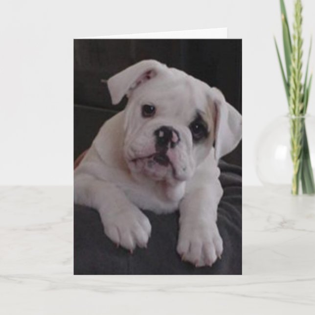 Cartão Miss Nala (Frente)