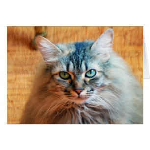 Cartão Miss Tootles