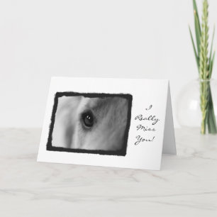 Cartão Miss you Card