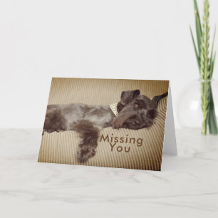 Cartão Missing You Black Miniature Schnauzer