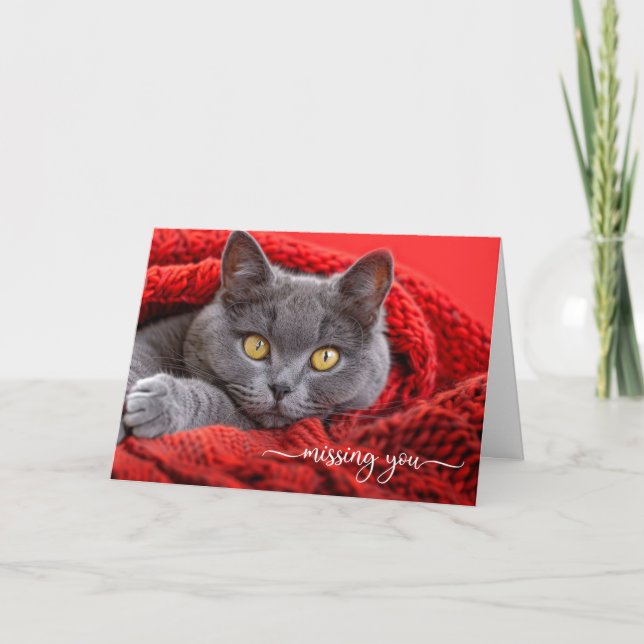 Cartão Missing You Gray Cat in a Red Knit Afghan (Frente)