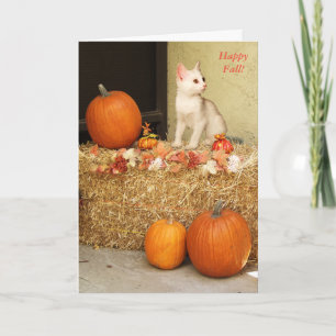 Cartão Missing You Halloween Kitten & Pumpkins Card
