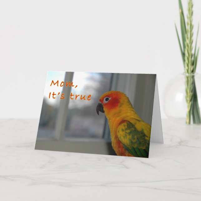 Cartão Missionário (Frente)