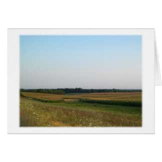 Cartão Missouri Cornfield - Fotografia