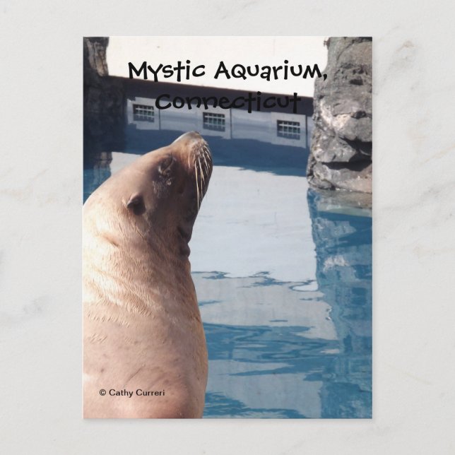 Cartão místico (Frente)