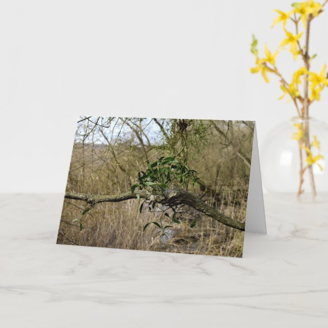 Cartão Mistletoe (Flor Amarela)