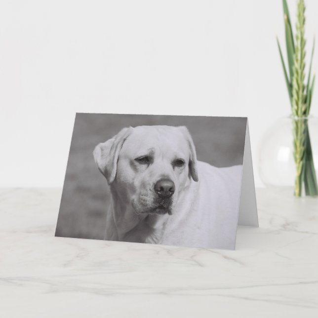 Cartão Misty (Frente)