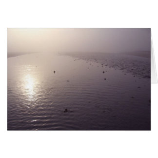 Cartão Misty sunset