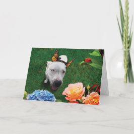 Cartão Mitzy Mariposa, cão com asas de borboleta