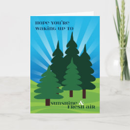 Cartão Miúdos em árvores da luz do sol do acampamento de