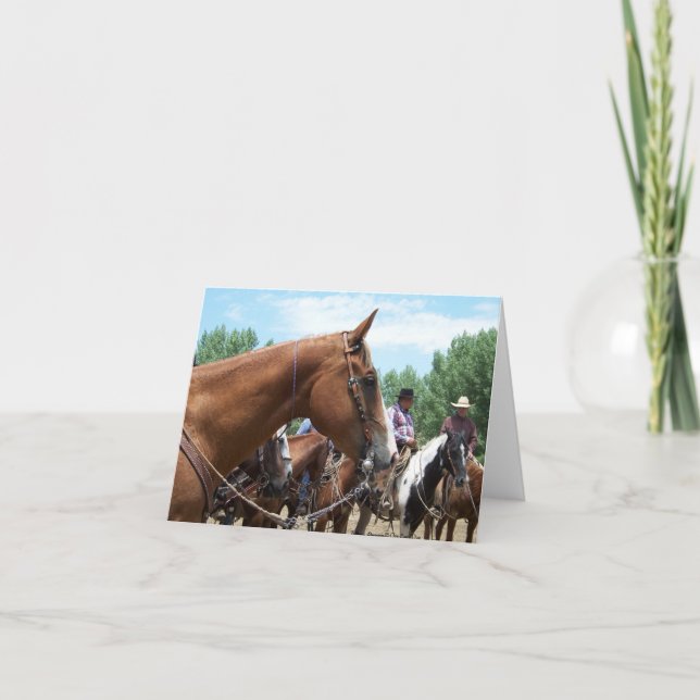 Cartão "Mo - Um grande cavalo" Notecard (Frente)
