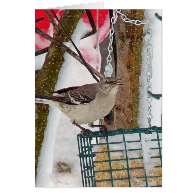 Cartão Mockingbird (Frente)