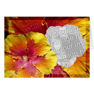 Cartão Modelo 1 do hibiscus