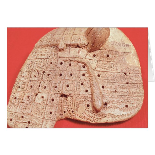 Cartão Modelo de fígado de ovelha (Frente Horizontal)