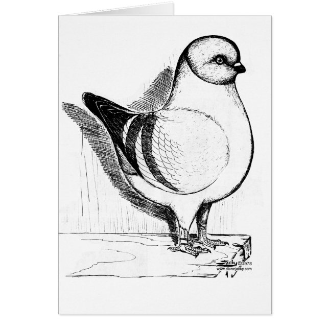 Cartão Modena Gazzi Pigeon 1978 (Frente)