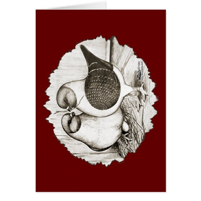 Cartão Modena Gazzi Pigeons (Frente)