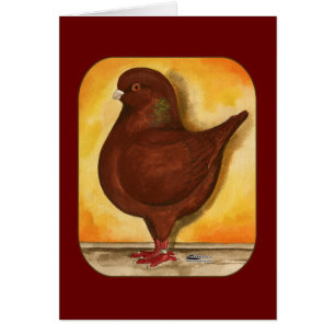 Cartão Modena Red Schietti