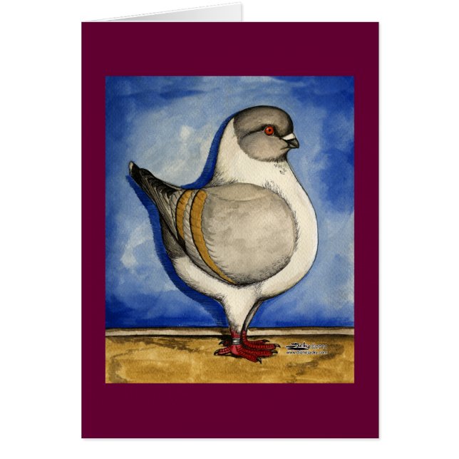 Cartão Modena Silver Gazzi Pigeon (Frente)