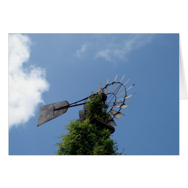 Cartão Moinho (Frente Horizontal)