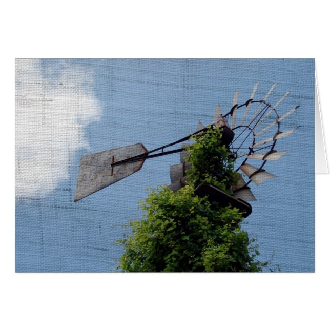 Cartão Moinho 2 (Frente Horizontal)