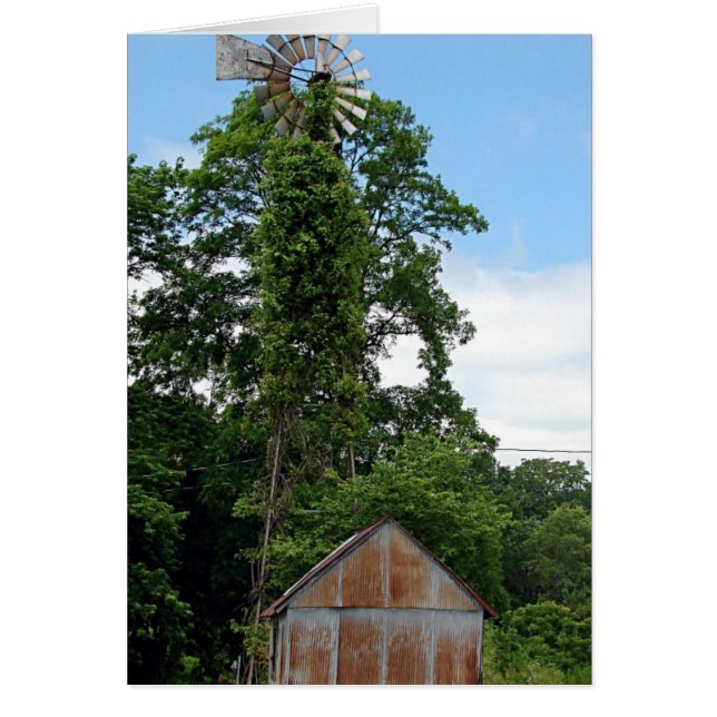 Cartão Moinho de vento e moinho (Frente)