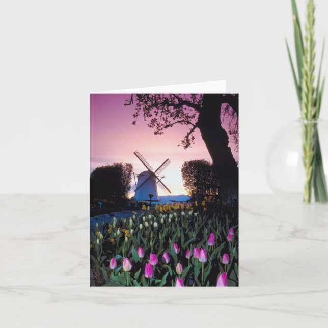 Cartão Moinho de vento holandês no por do sol em Holland (Frente)