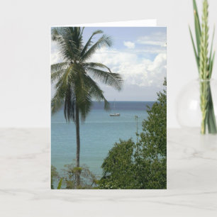 Cartão Moira at anchor, Bahia Drake, Costa Rica