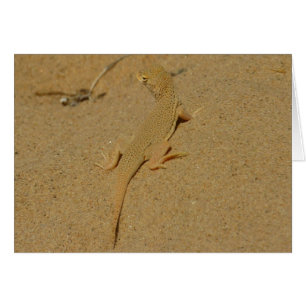 Cartão Mojave Fringe-Toed Lizard